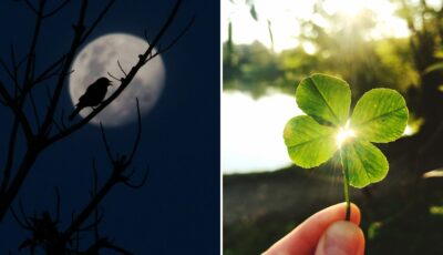 Superstitions irlandaises - Canva Pro