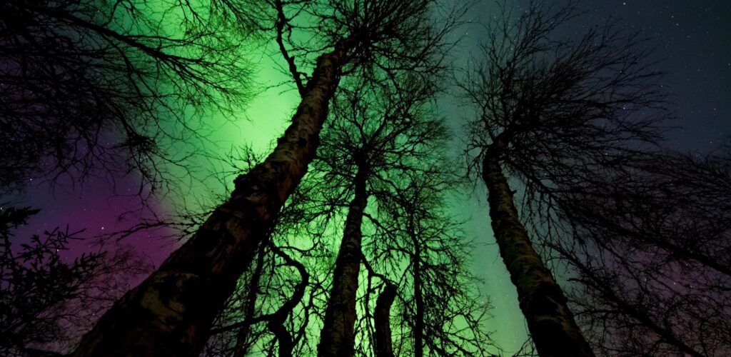 Northern Ireland: the Northern Lights put on a show last night!