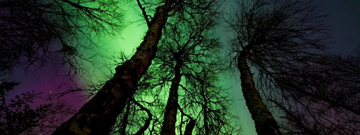 Northern lights in Northern Ireland - Margerretta - Pexels
