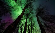 Northern lights in Northern Ireland - Margerretta - Pexels