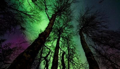 Northern lights in Northern Ireland - Margerretta - Pexels