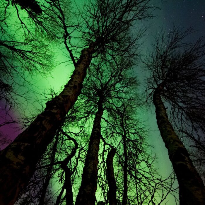 Northern lights in Northern Ireland - Margerretta - Pexels