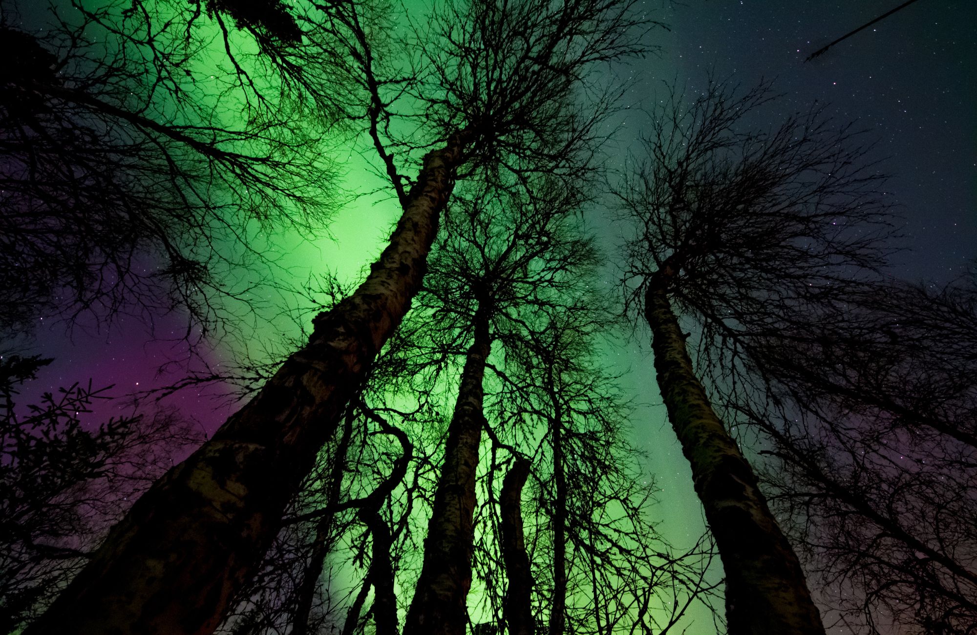 Northern lights in Northern Ireland - Margerretta - Pexels