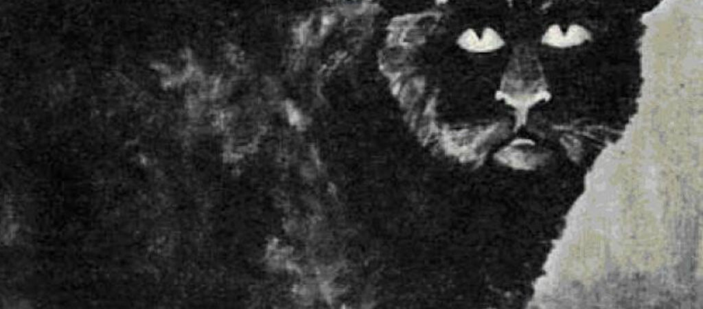 Ireland's most astonishing urban legends • Go-to-Ireland.com