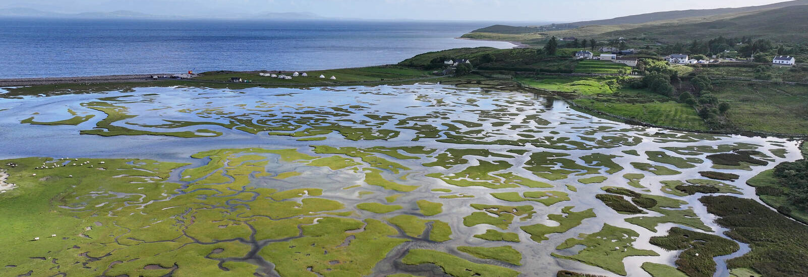 Irish Marsh