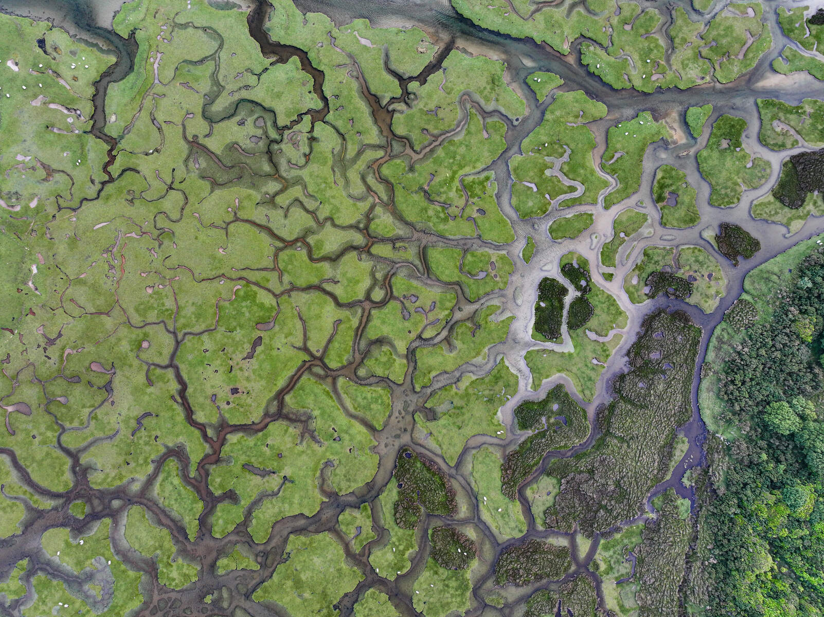 Mulranny Salt Marsh © Big Style Media - Fáilte Ireland