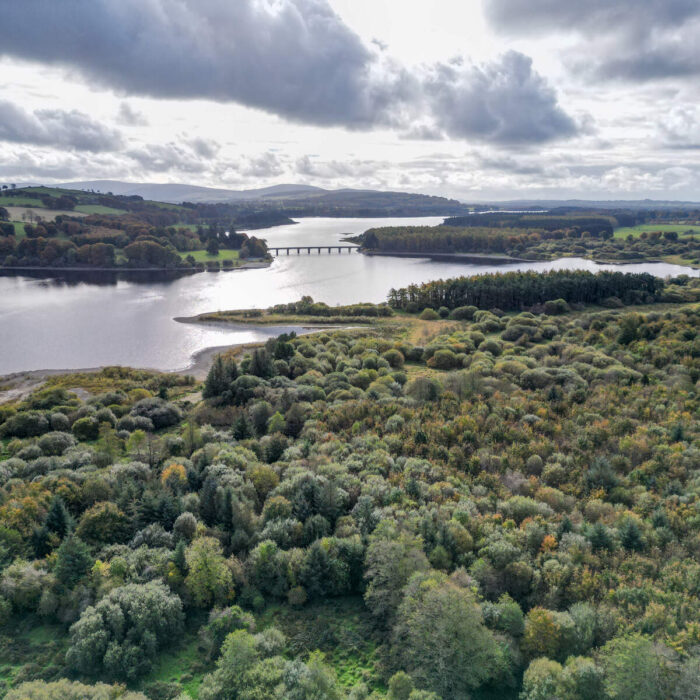 The Poulaphouca Reservoir - © Sonder Visual - Fáilte Ireland
