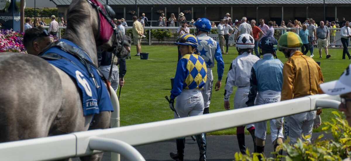 Racecourse in Ireland - Sonder Visual - ©Failte Ireland