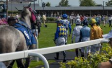 Racecourse in Ireland - Sonder Visual - ©Failte Ireland