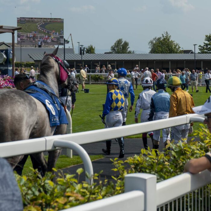 Racecourse in Ireland - Sonder Visual - ©Failte Ireland