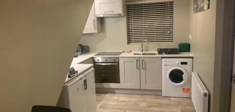 Cozy small 1 bedroom apartment