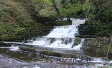 Dunneill River Rest