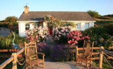Herons Cove Cottage