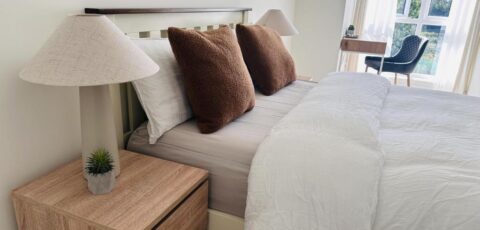 King Room with Ensuite in Dublin