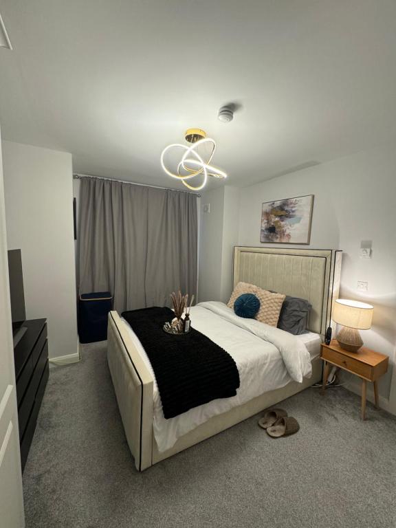 Modern Double & Single Room with Cozy Vibes Athy