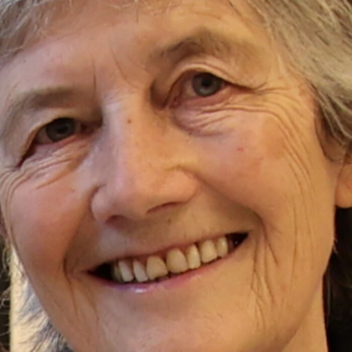 Catherine Connolly, new President of the Republic of Ireland - Houses of the Oireachtas