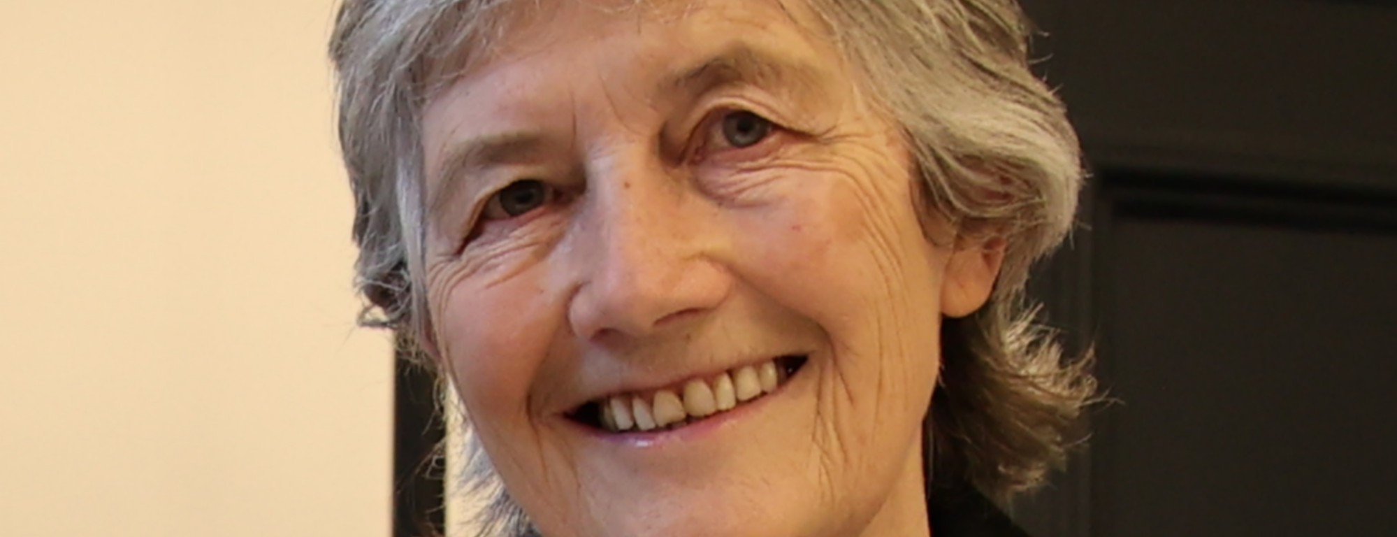 Catherine Connolly, new President of the Republic of Ireland - Houses of the Oireachtas