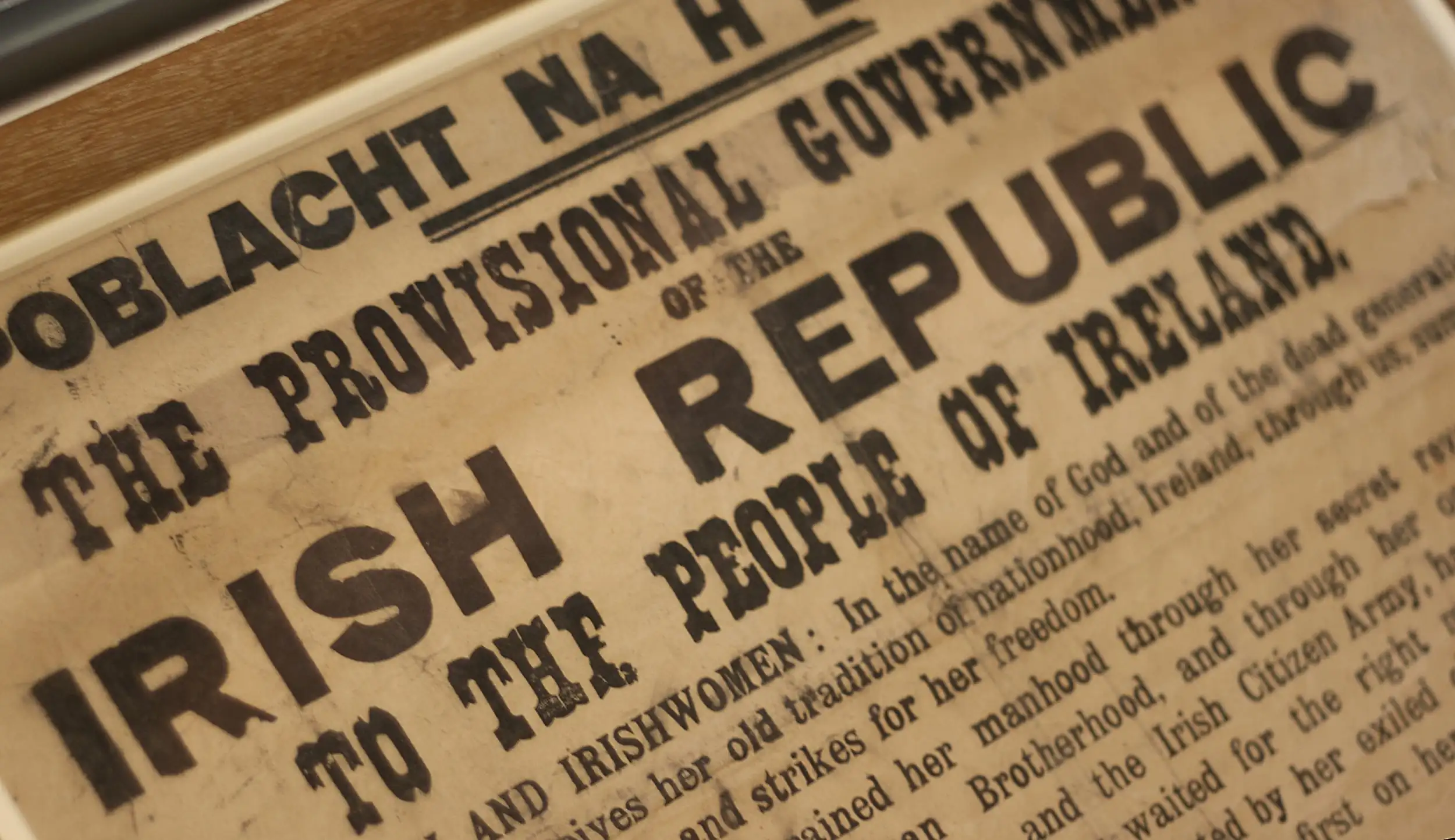 The Irish Declaration of Independence (1919)