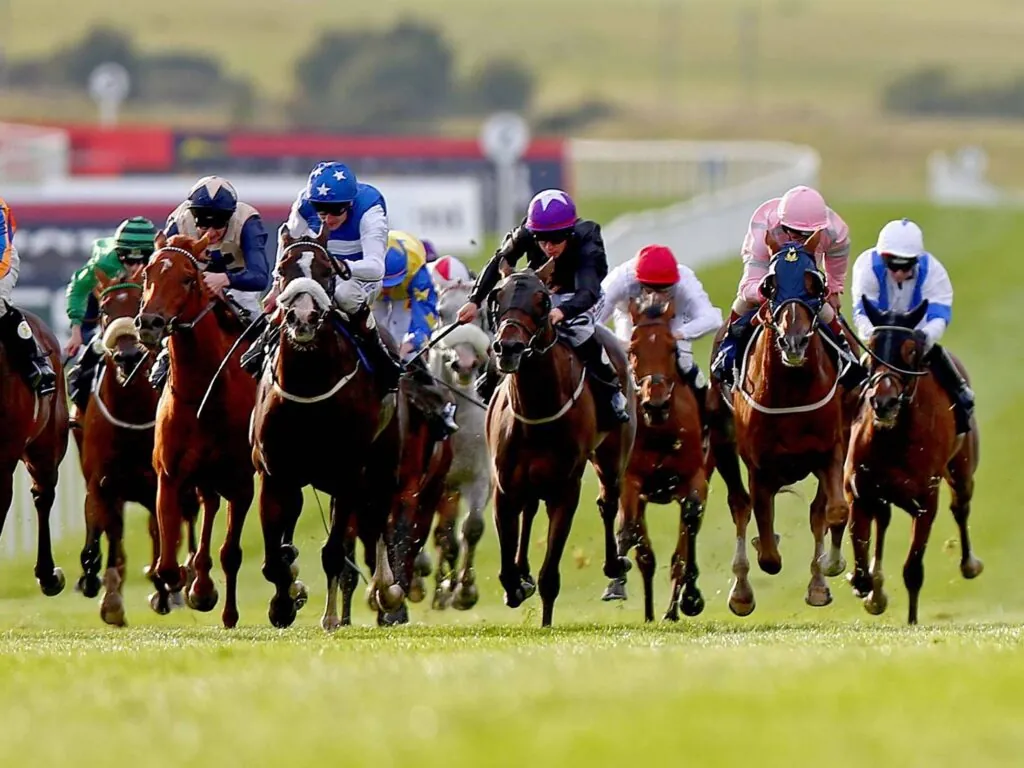 curragh horse