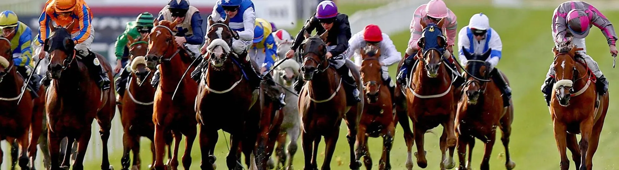 Curragh Horse Racing Course