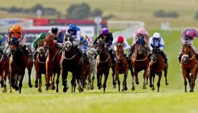 curragh horse