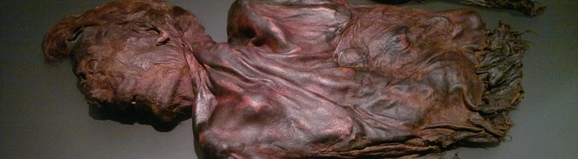 Irish bog bodies