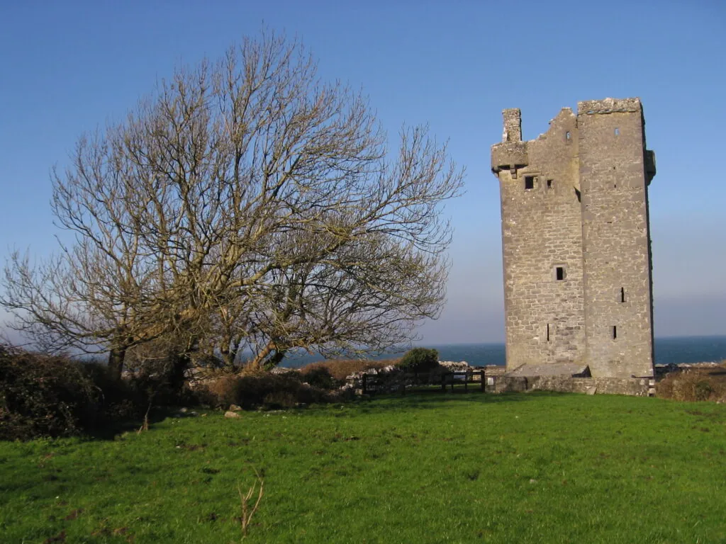 gleninagh castle 2