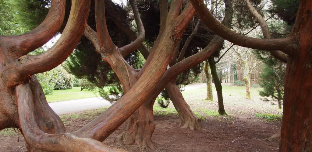 arboretum jfk