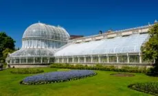 Botanic Belfast Gardens - © Stephen