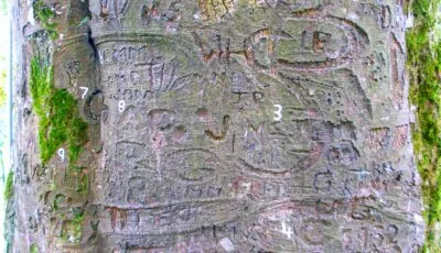 coole park 2 scaled