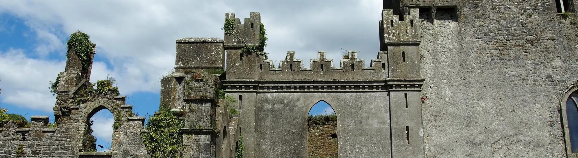 The Leap Castle