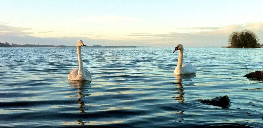 lough ennell 1