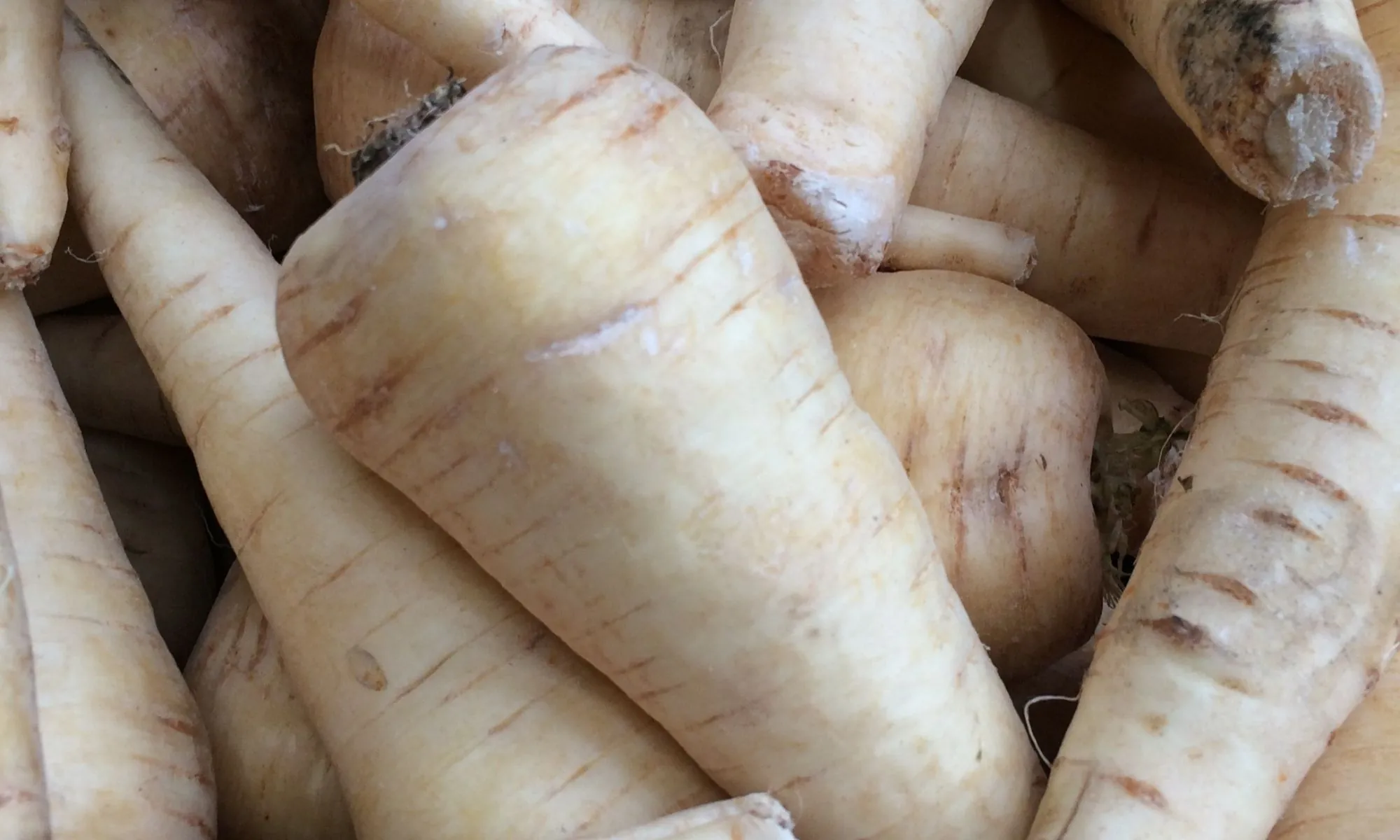 Parsnips