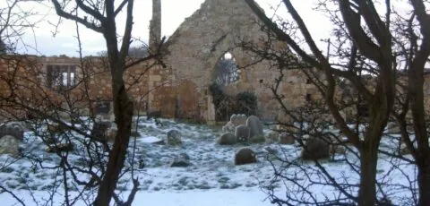 bonamargy friary 2