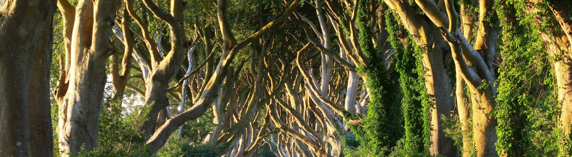 Game of Thrones in Ireland