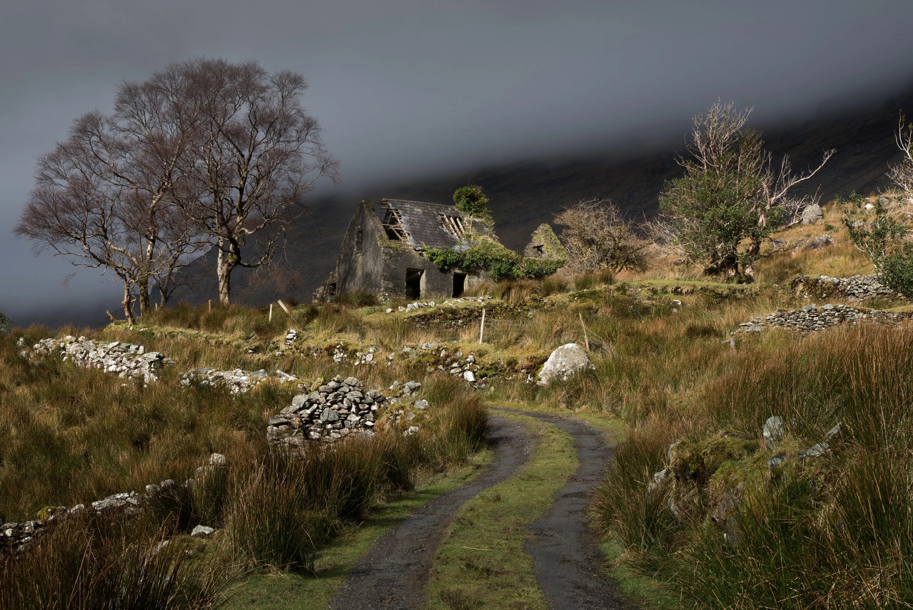 black valley