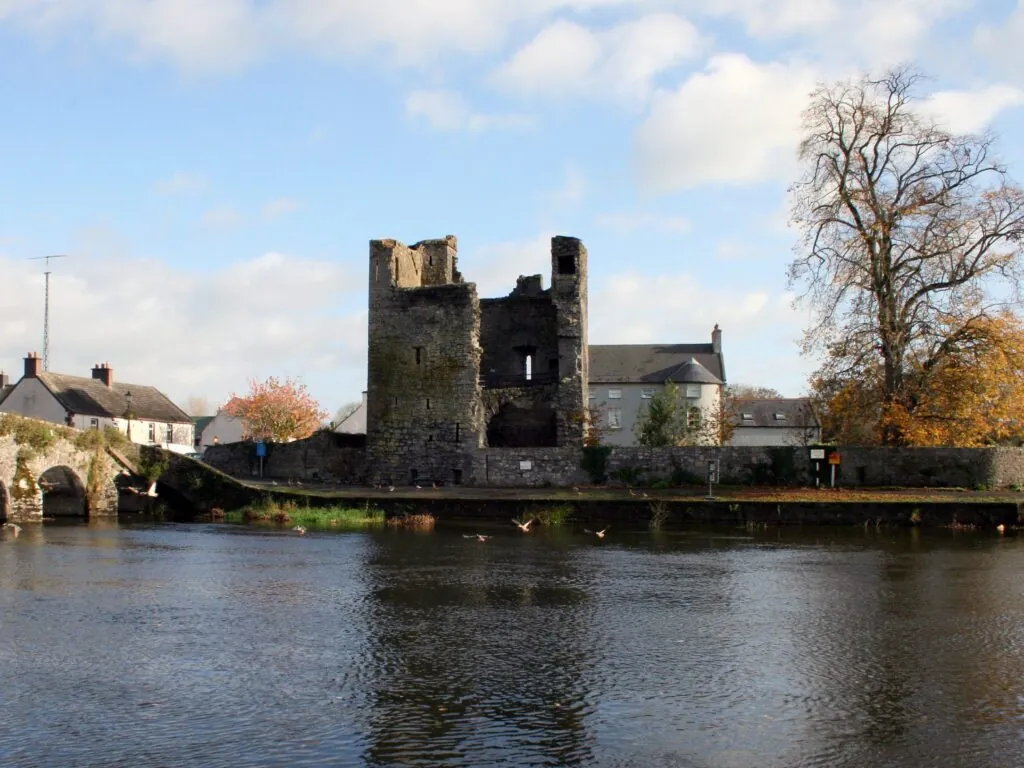 leighlinbridge castle 1 scaled
