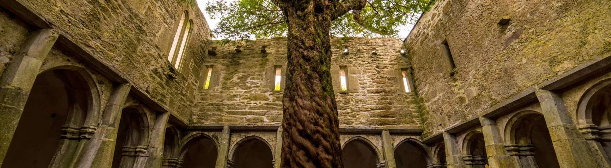 Muckross Abbey