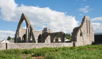 castledermot abbey