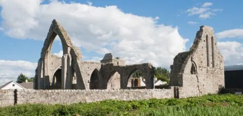 castledermot abbey