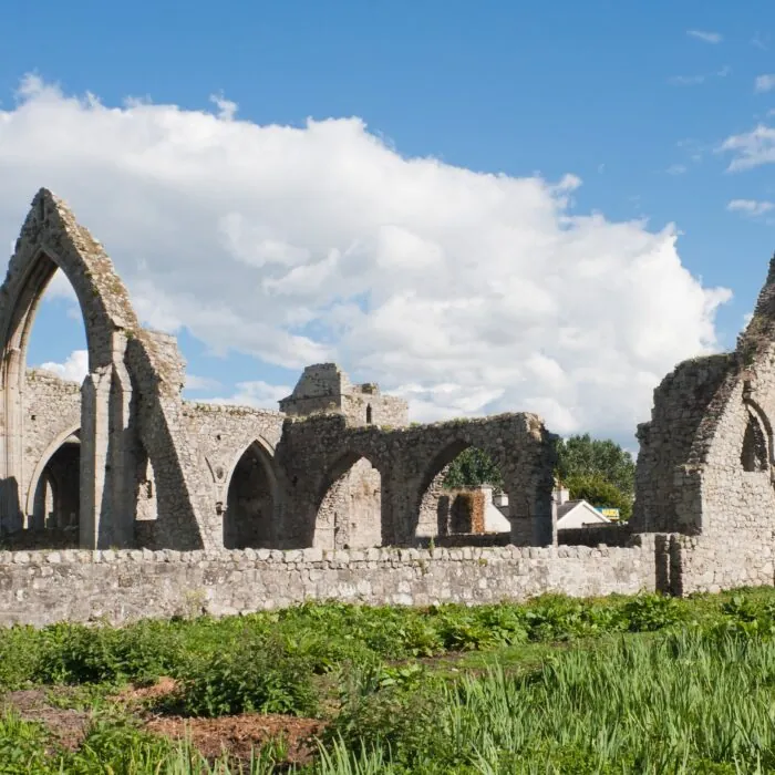 castledermot abbey