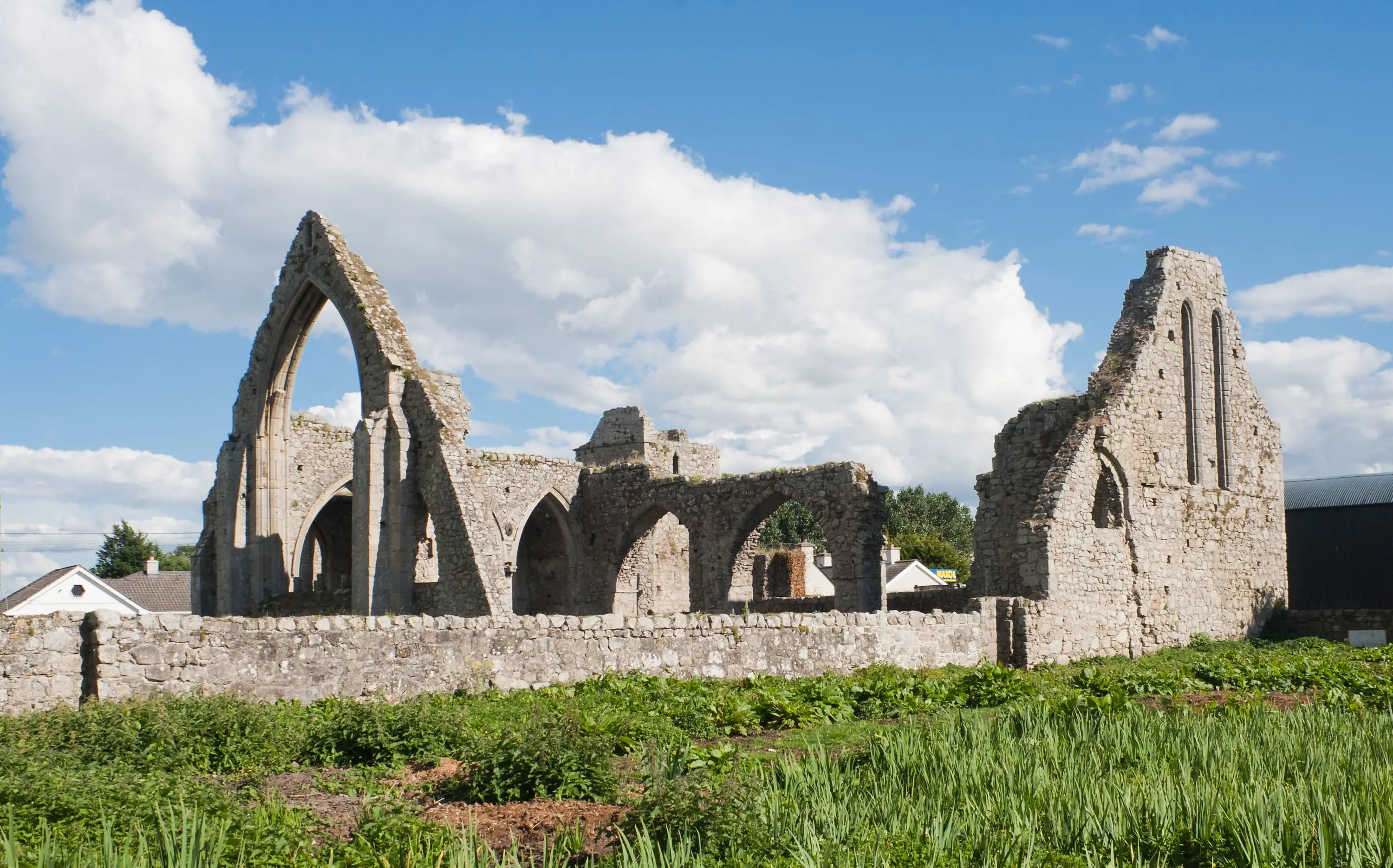 Castledermot Abbey