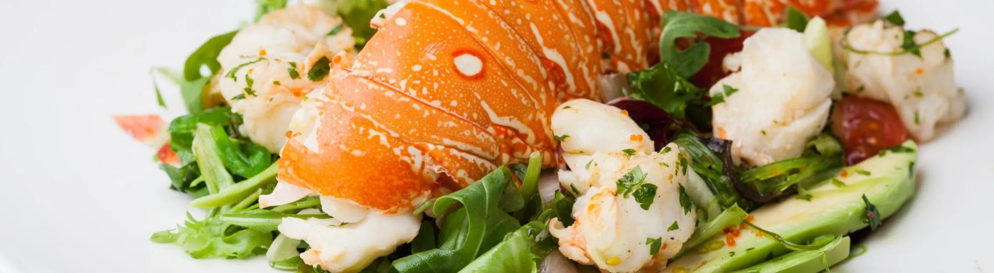 Lobster salad