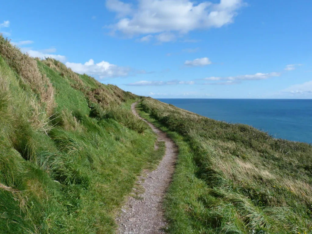 ballycotton cliff walk 1