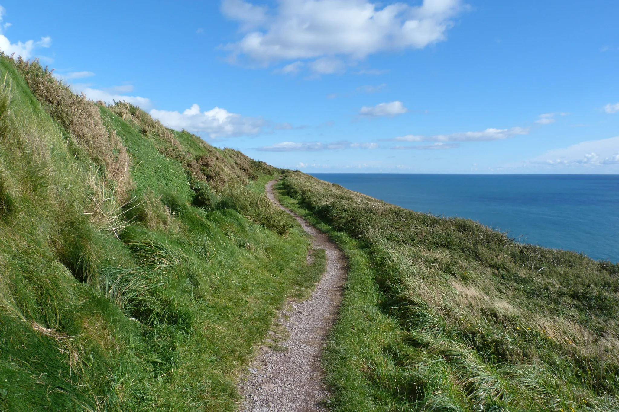ballycotton cliff walk 1