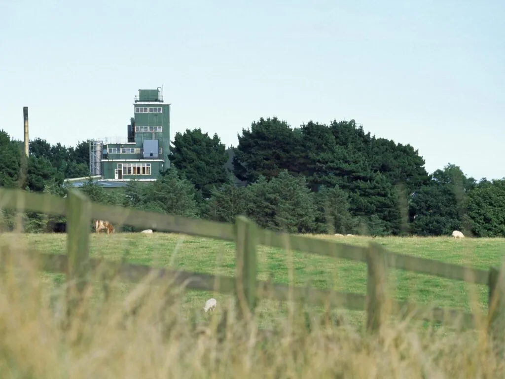 cooley distillery scaled