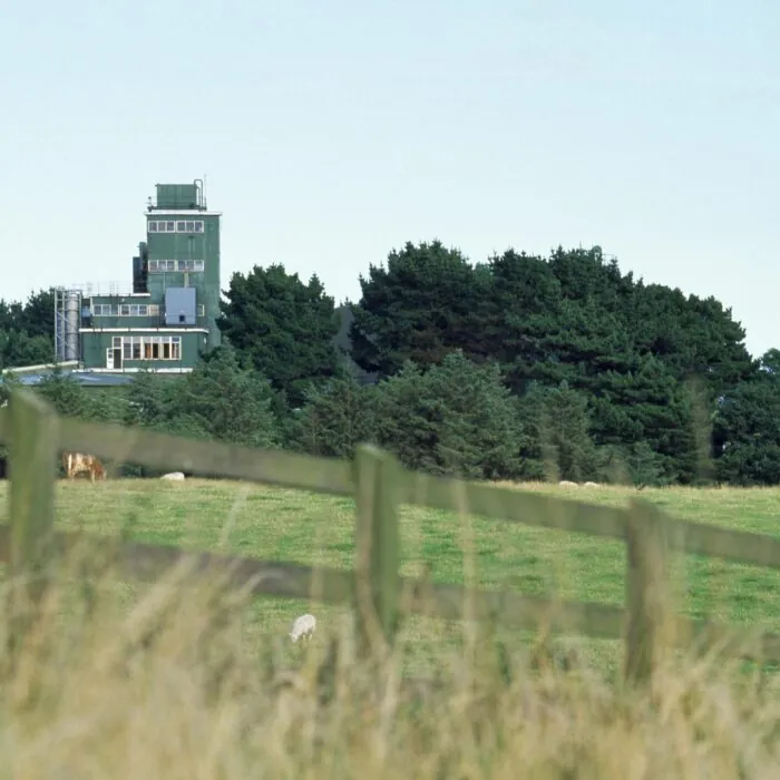 cooley distillery scaled