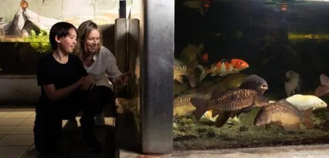 galway atlantaquaria