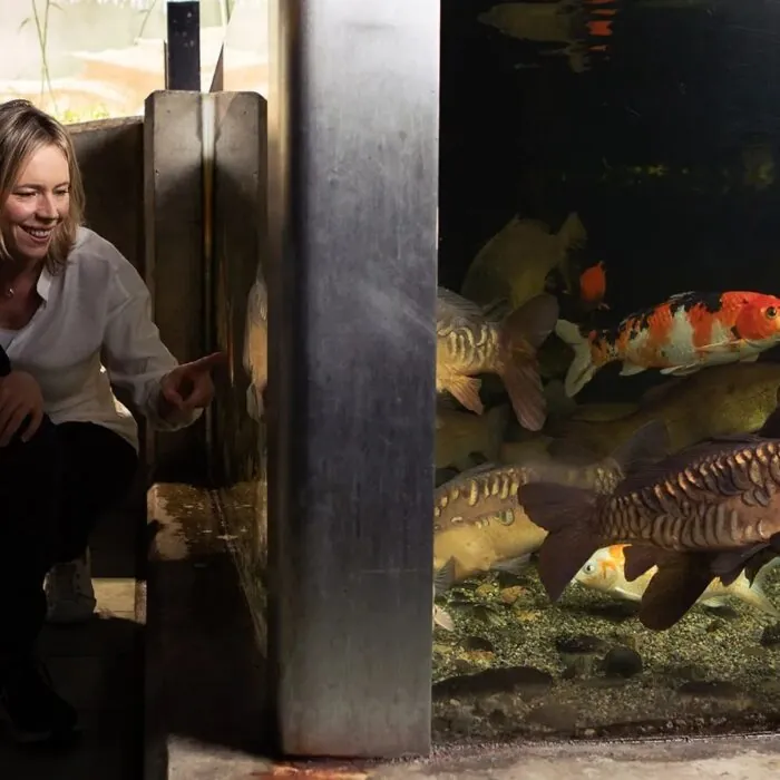 galway atlantaquaria