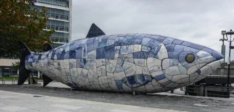 big fish